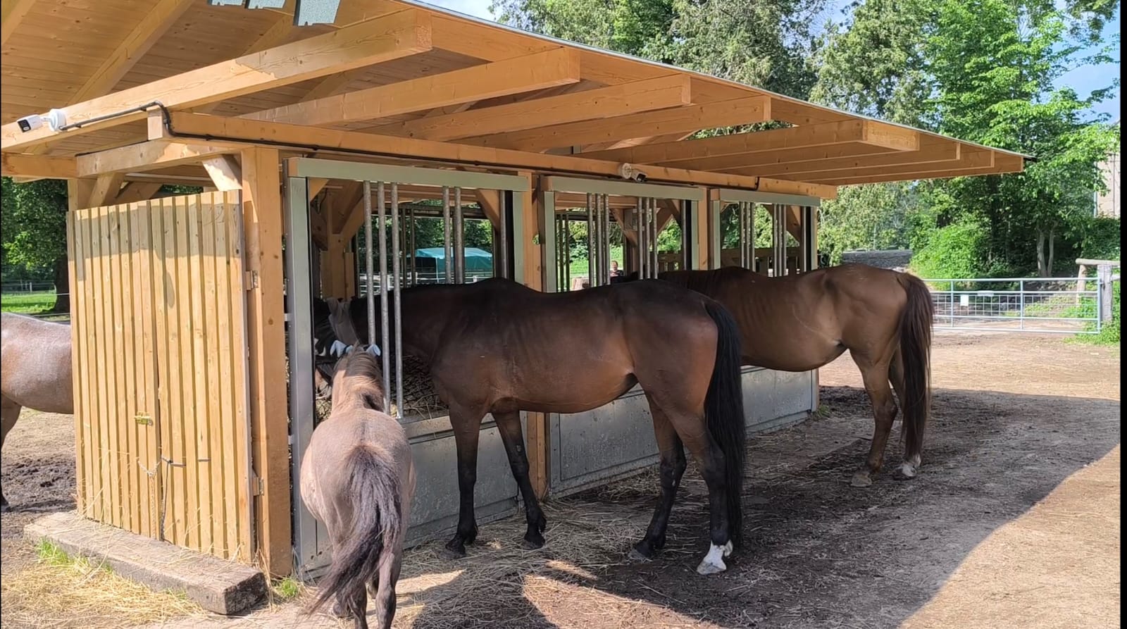 Automatické příkrmiště iFEED – zakázková výroba