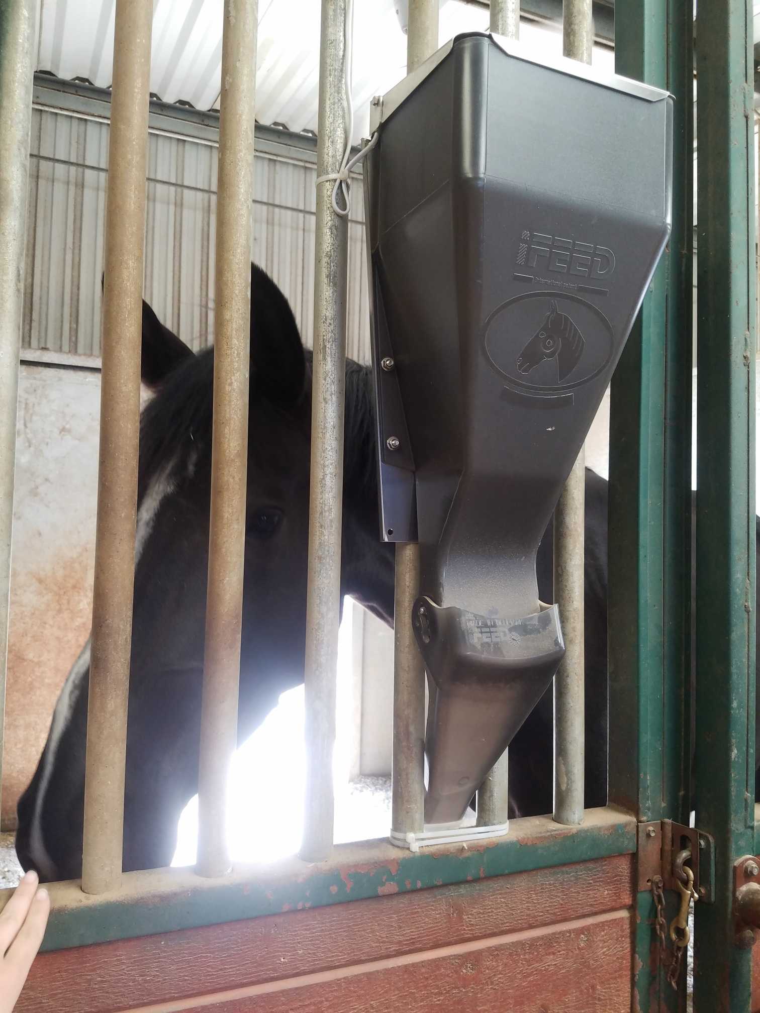 Trychtýř pod Ifeeder o rozměrech 26,5 cm D x 6,2 cm