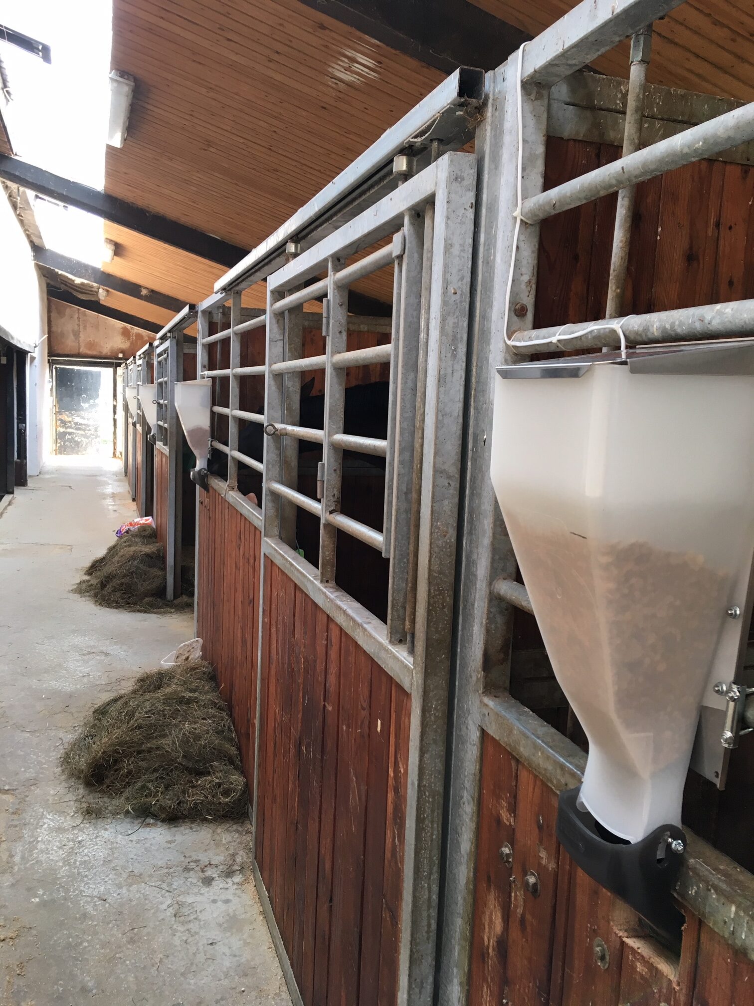 Automatické příkrmiště